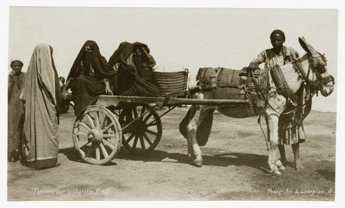 Египет и Сирия в 19, 20 веке. Фотографии
Как выглядели. 